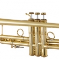 Bach LT18077 Trumpet