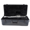 TR200S Trumpet in Case