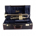 17043GYR Professional Trumpet on Case